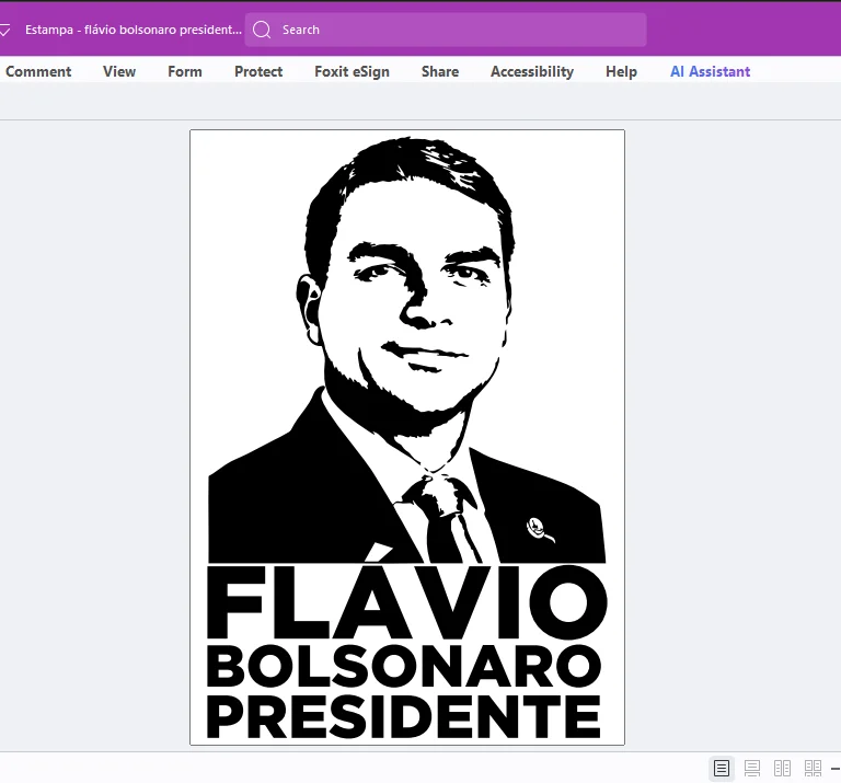 Estampa Flávio Bolsonaro Presidente – Arquivo em PDF — imagem 2 do produto